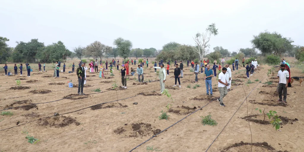The Role of CSR in India and How It Can Accelerate Agroforestry