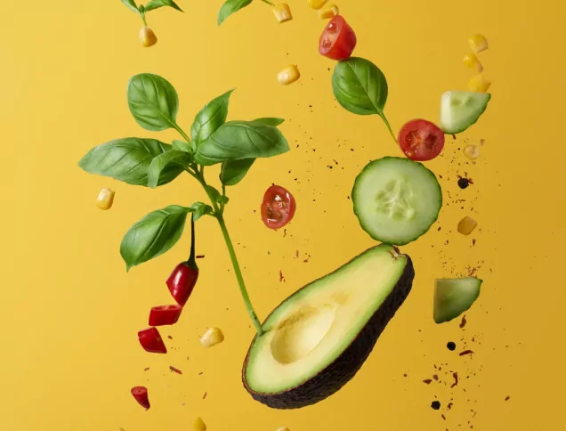 Plant based diets have a great variety of nutrient dense food sources