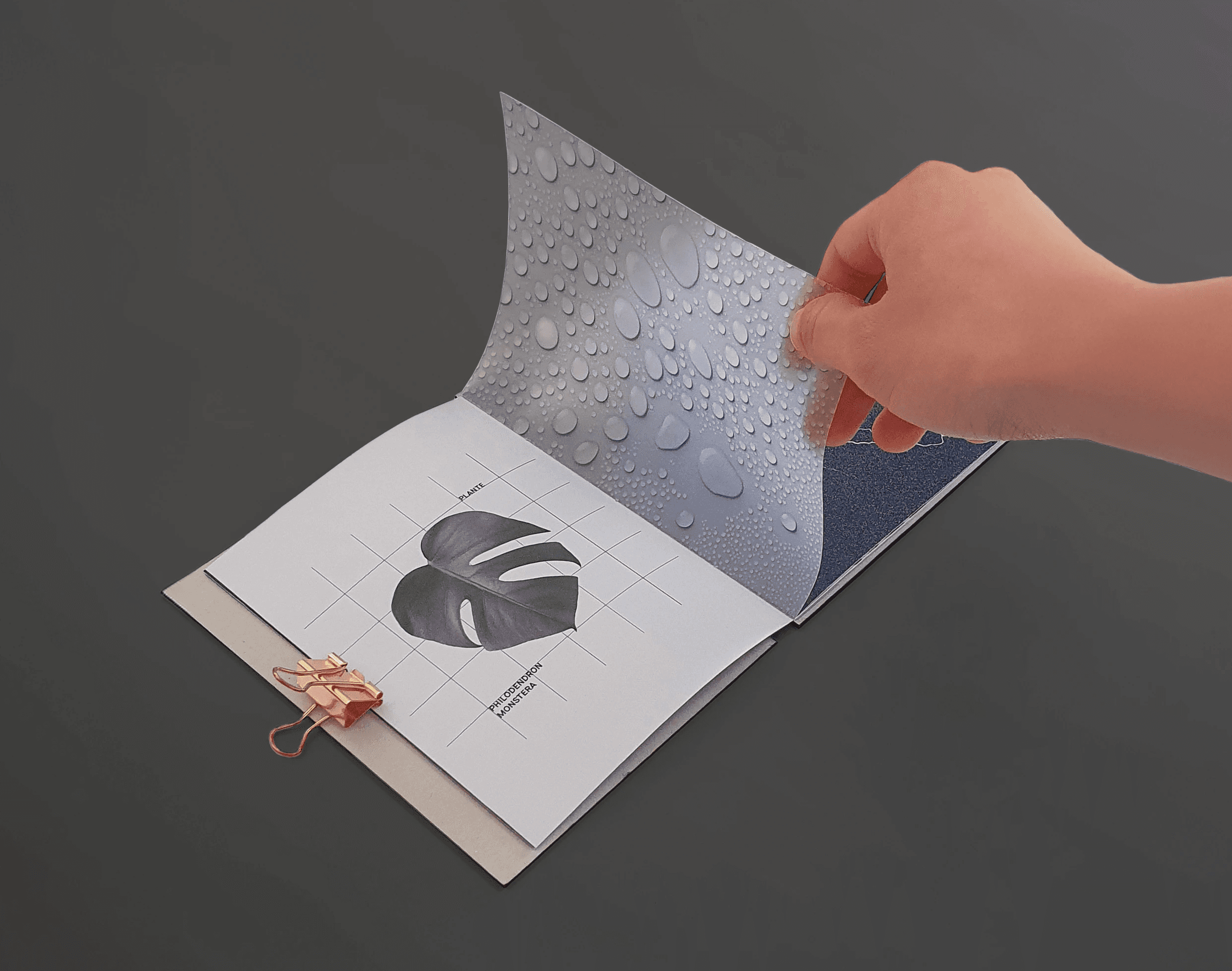 Narration graphique conceptuelle 