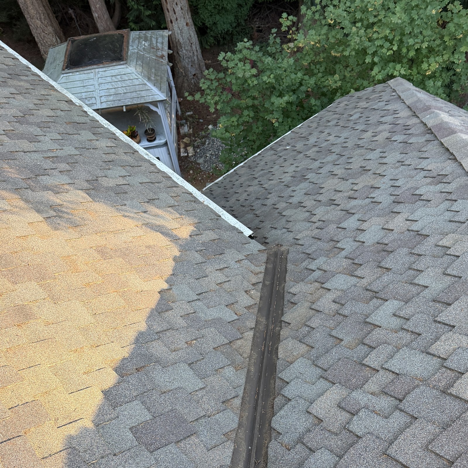 After: roof valley cleaning: needles & debris by Peterson Property Services in Mill Creek, WA