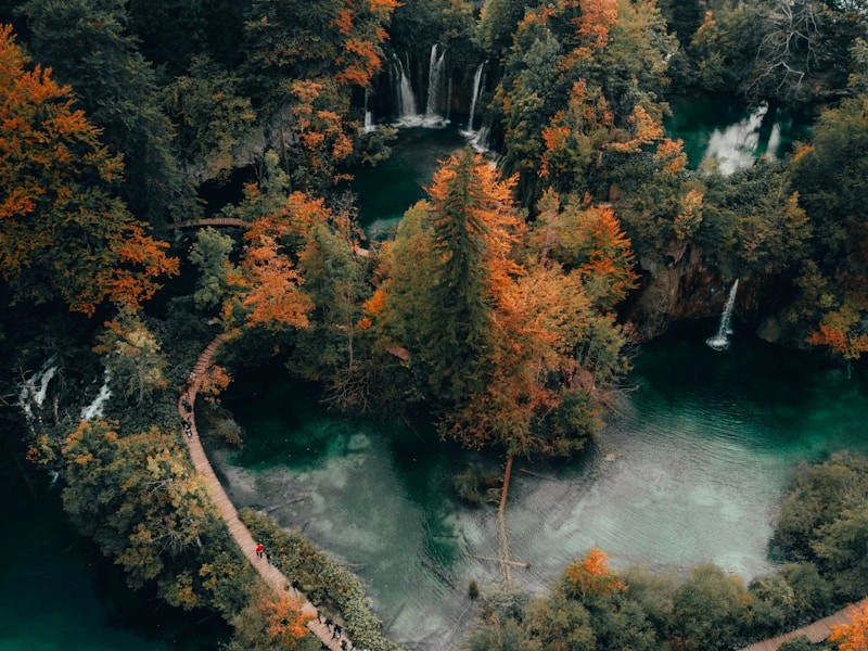 red train travelling near body of water
