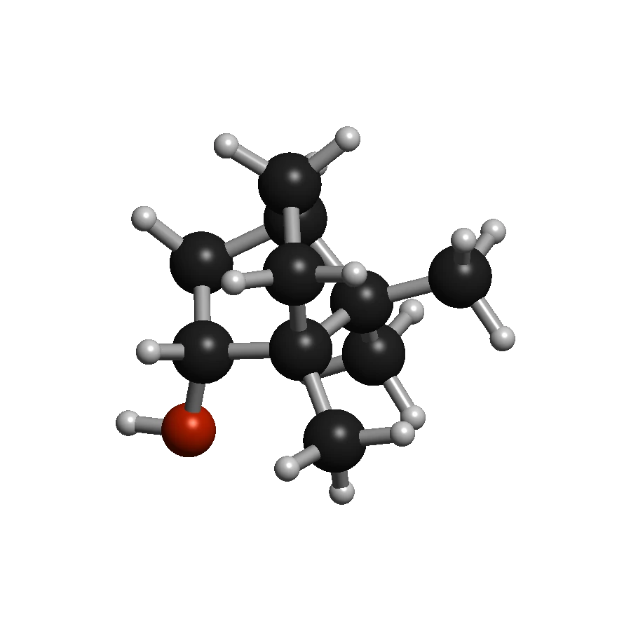 Isoborneol molecular structure