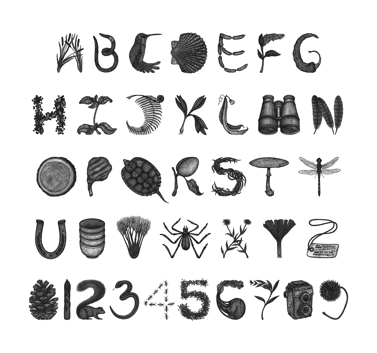 An image that shows the entire alpha numerical characters, each made from different objects, plants or animals.