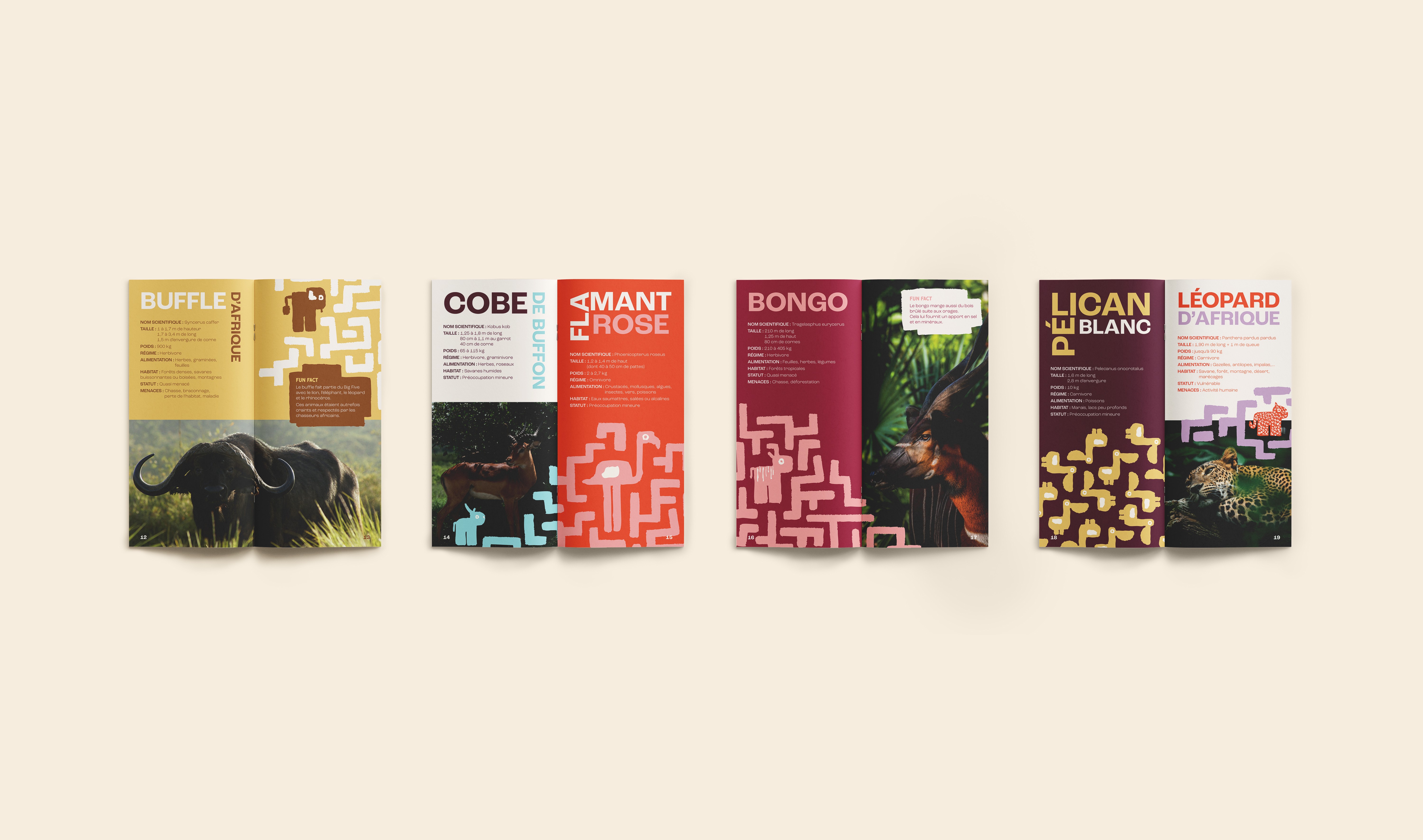 Quatres doubles pages : buffle, cobe de buffon, bongo, pélican et léopard