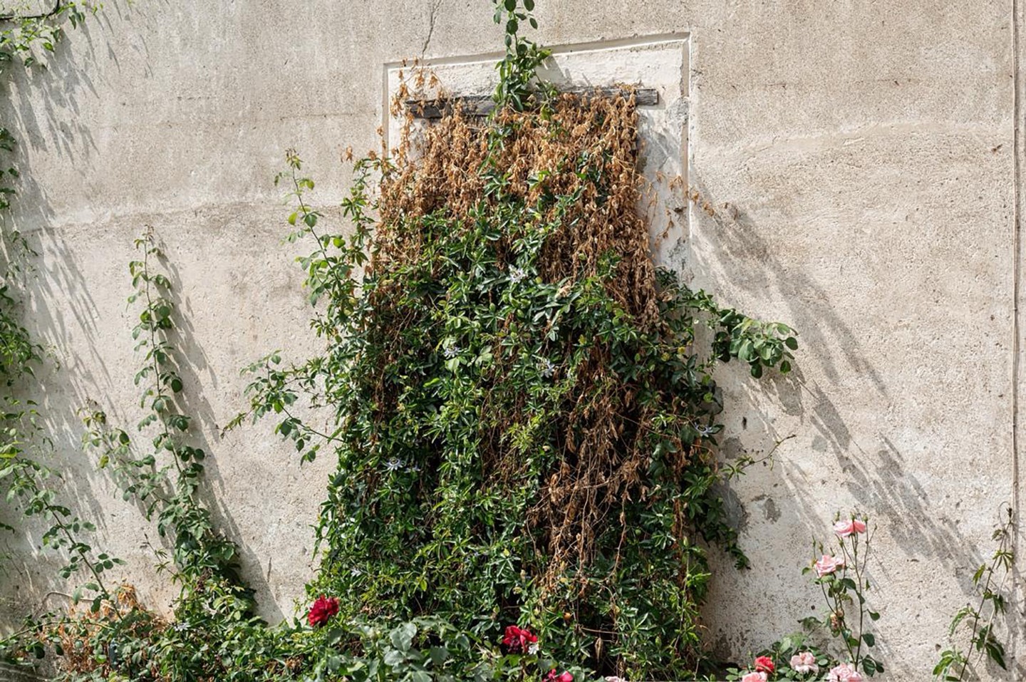 Diego Obligado Galería de Arte - Diego Vergara. Dibujos. Lo numinoso, Examen de conciencia y Los próximos. Pertenecientes al tríptico Estado de situación Grafito sobre papel - 70 x 50 cm. CU - 2024 