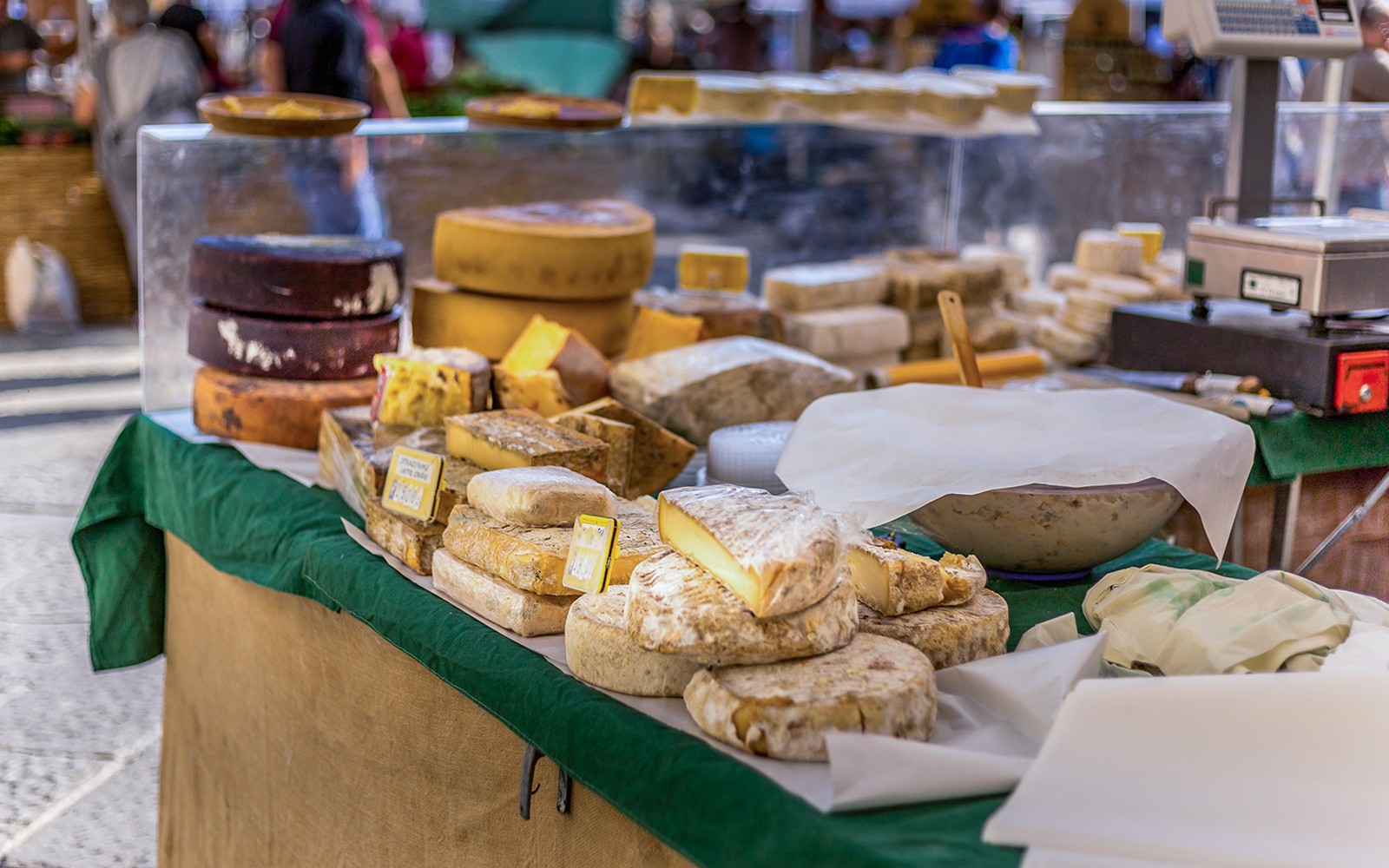 Wybór serów na stoisku targowym podczas zorganizowanej wycieczki kulinarnej w Florencji.