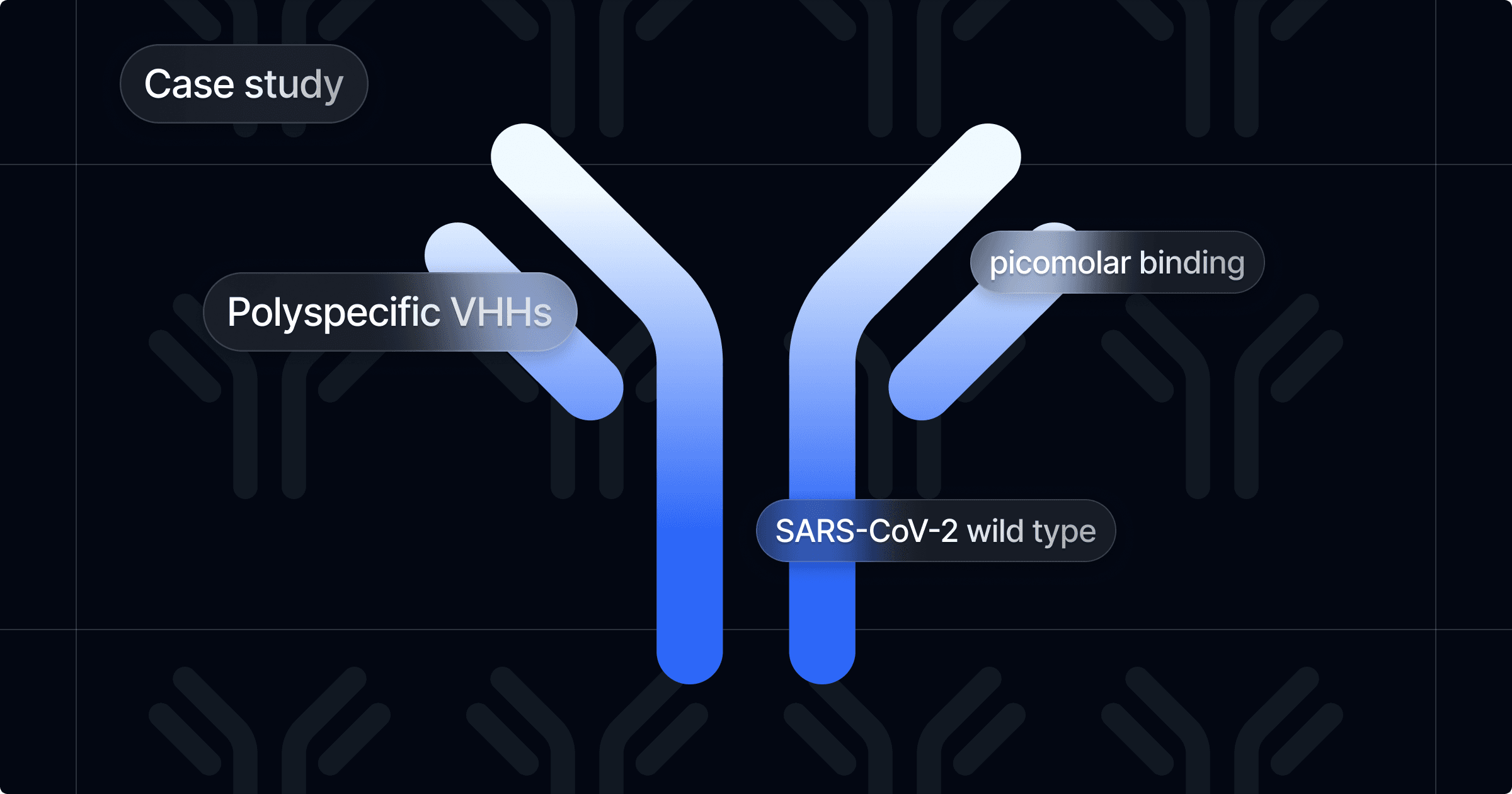 Engineering polyspecific VHHs with picomolar binding to SARS-CoV-2 wild type and Omicron