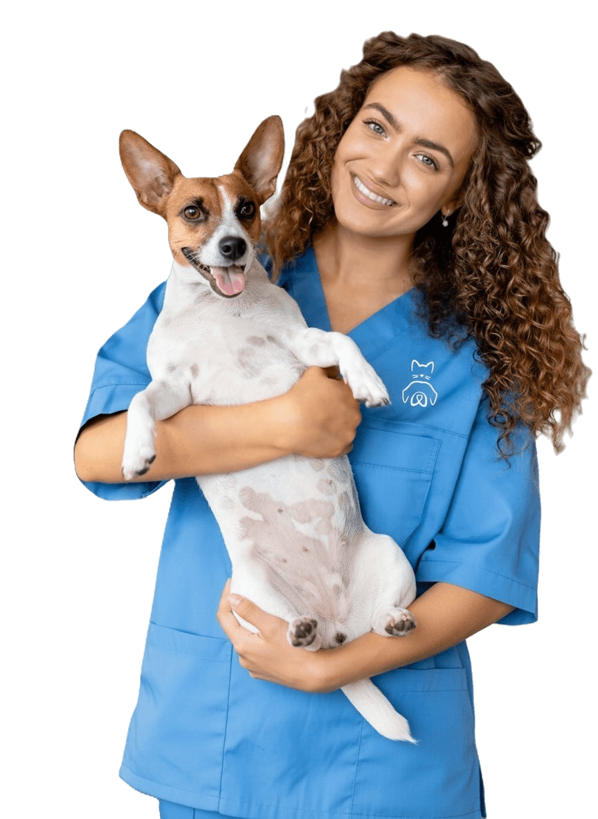 Vétérinaire femme souriante tenant un chien