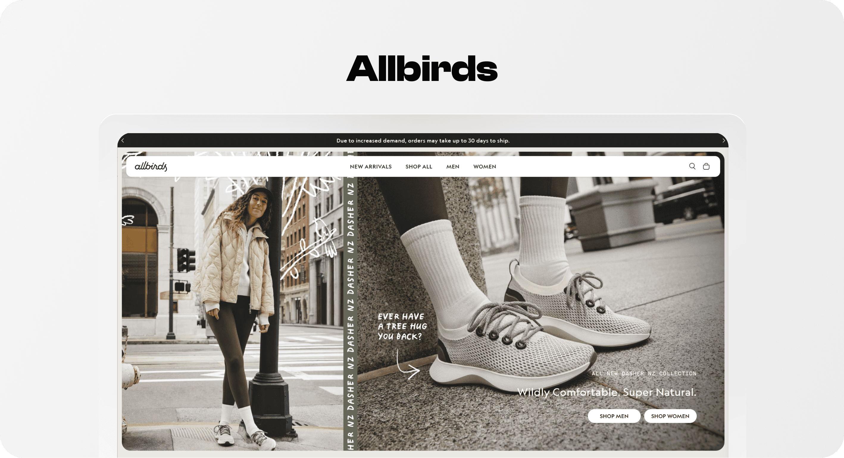 Allbirds homepage with simple Men and Women navigation and a Dasher NZ footwear campaign.
