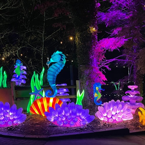IllumiNights at Zoo Atlanta