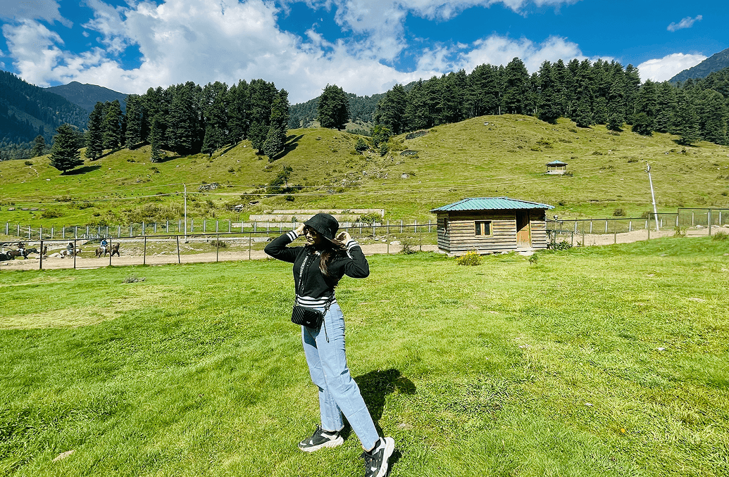 my picture from trip to Kashmir, Pahalgam