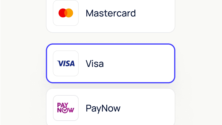 Payment list: Mastercard, PayNow, and Visa (highlighted with a purple selection border).