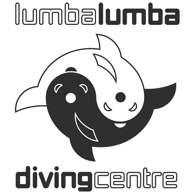 lumba lumba diving centre diving north sumatra scuba diving indonesia company logo