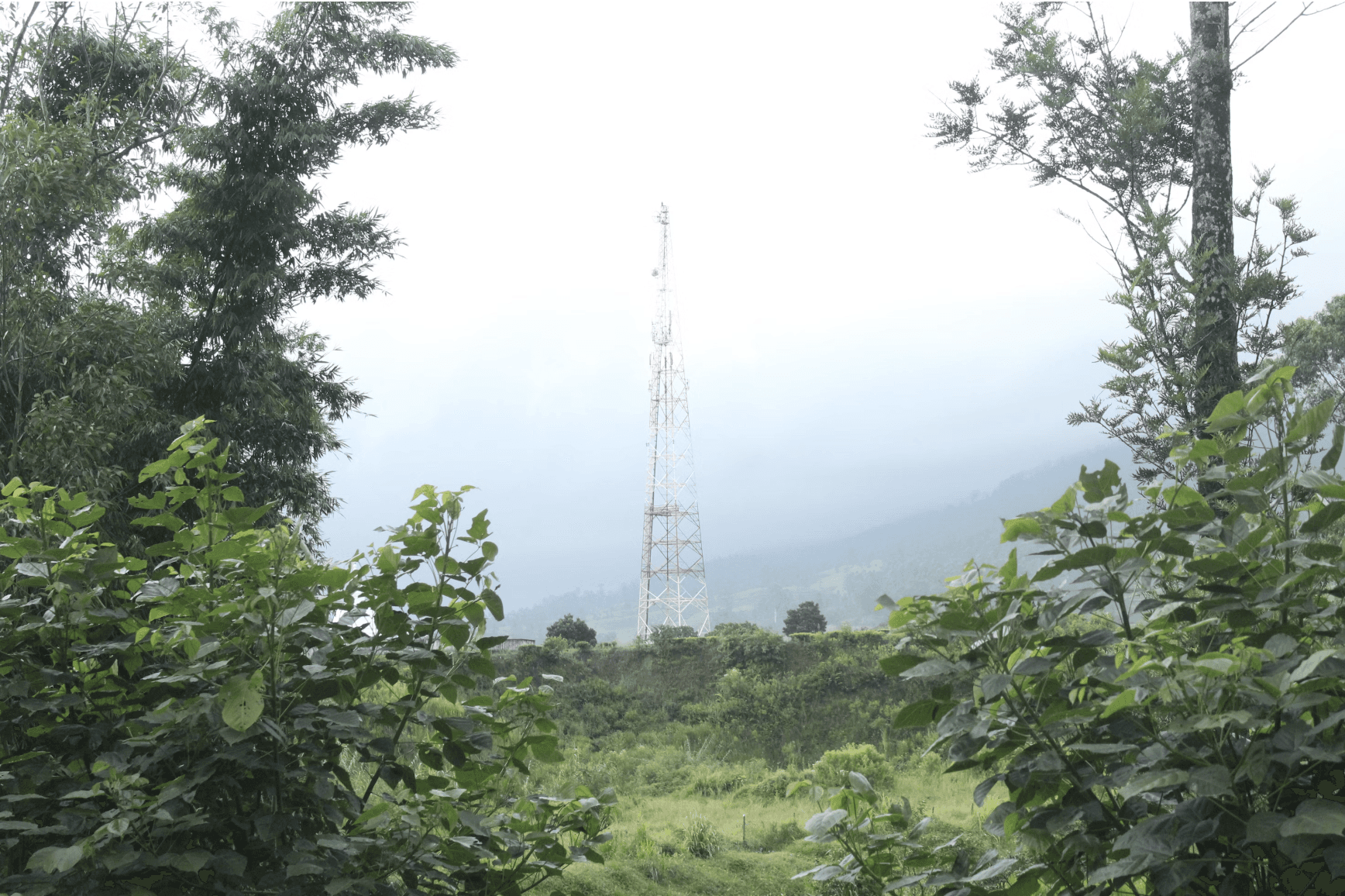celltower