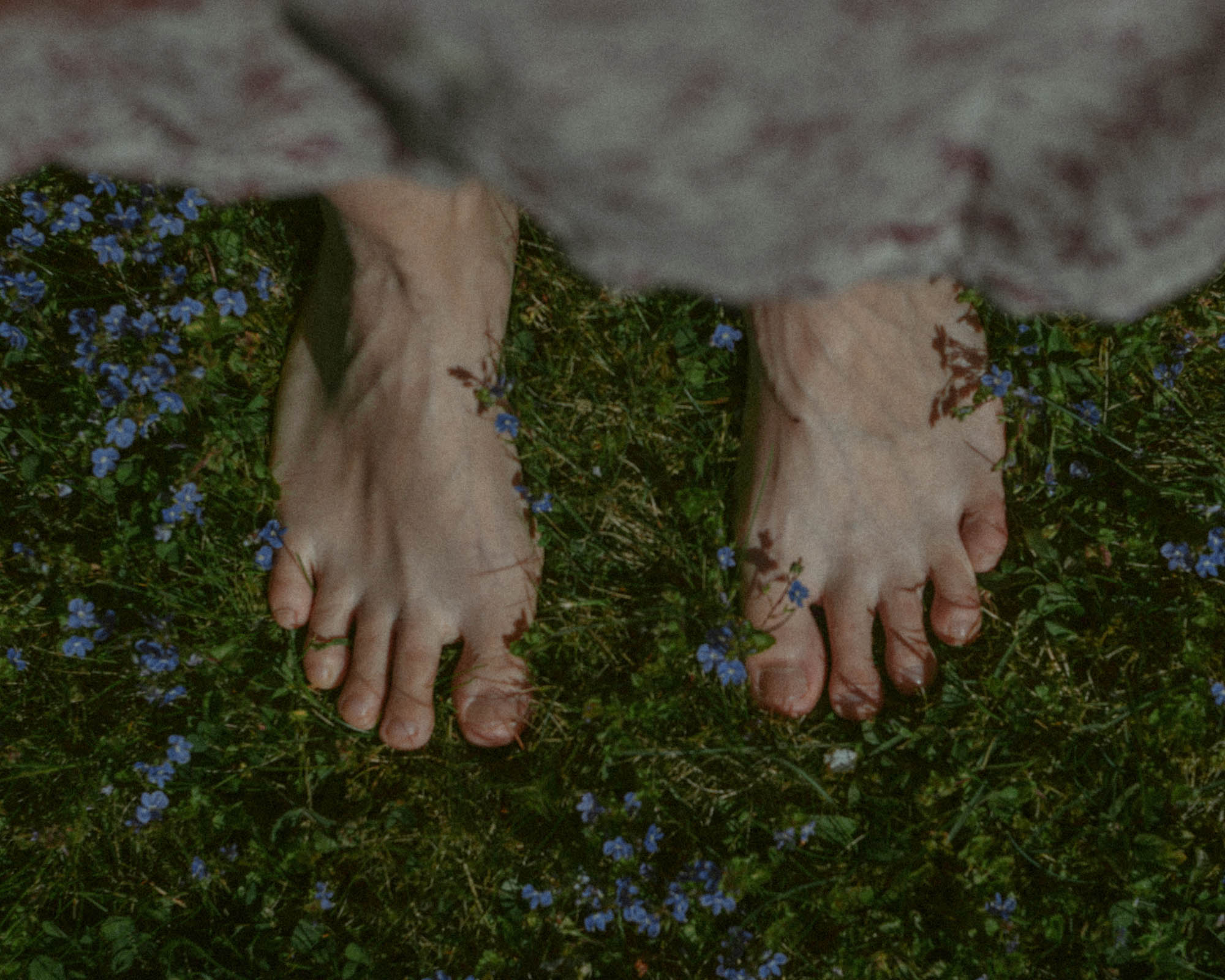 Two feet in a bed of flowers.