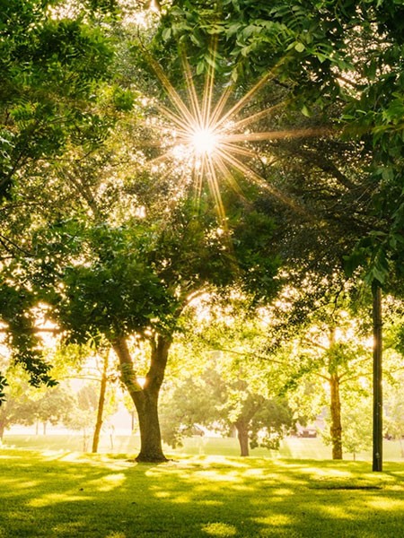 Neighborhood's highlights