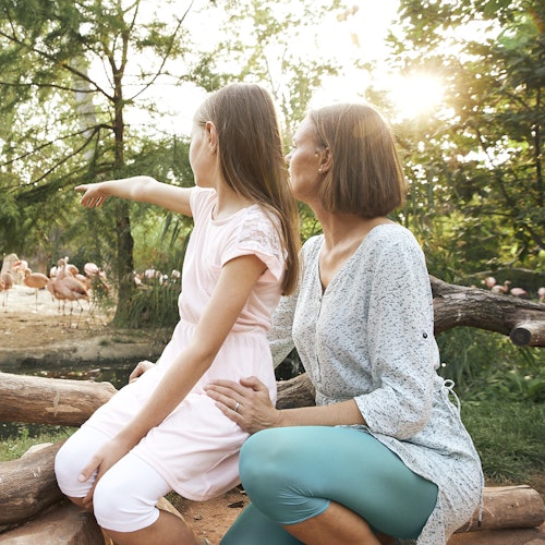 女性と若い女の子が丸太に座って、屋外の景色でフラミンゴの群れを見ながら指を差しています。