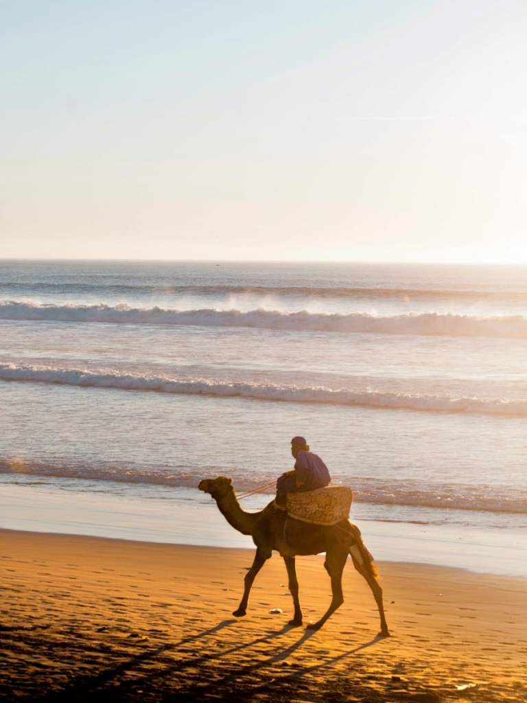 camel riding on agadir beach
