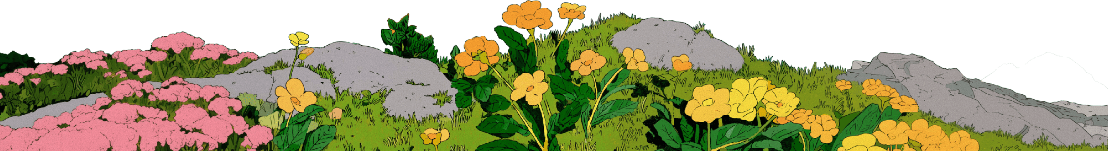 Pink and yellow flowers, green grass, and rocks on a hill.