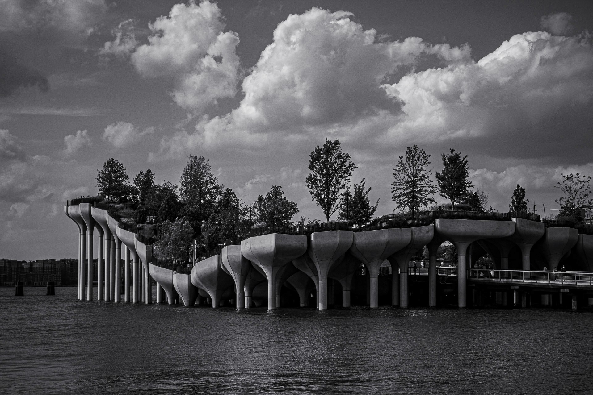 Photo by Renee G. Gudiño