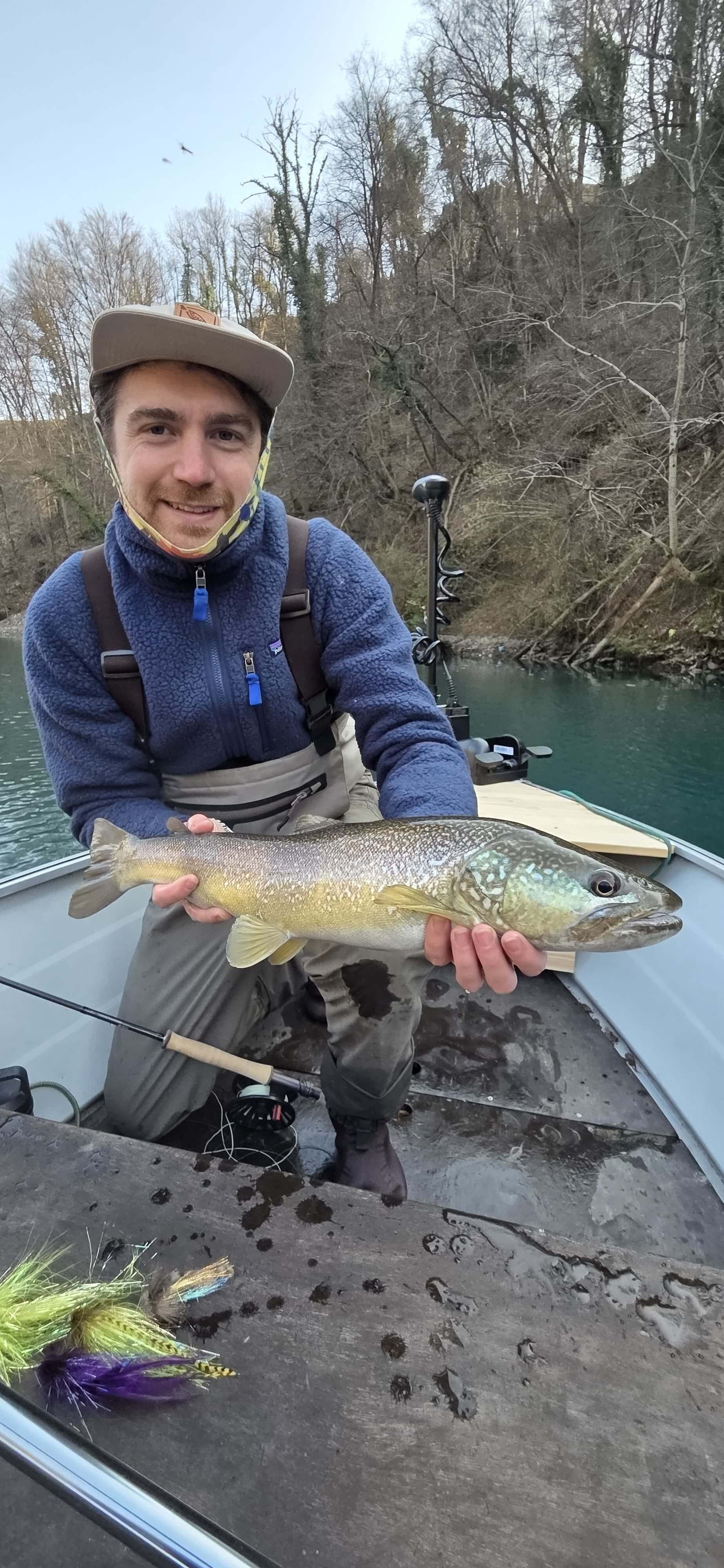 Predator marble trout attacking streamer in Slovenian alpine lake known for world-class marble trout fishing
