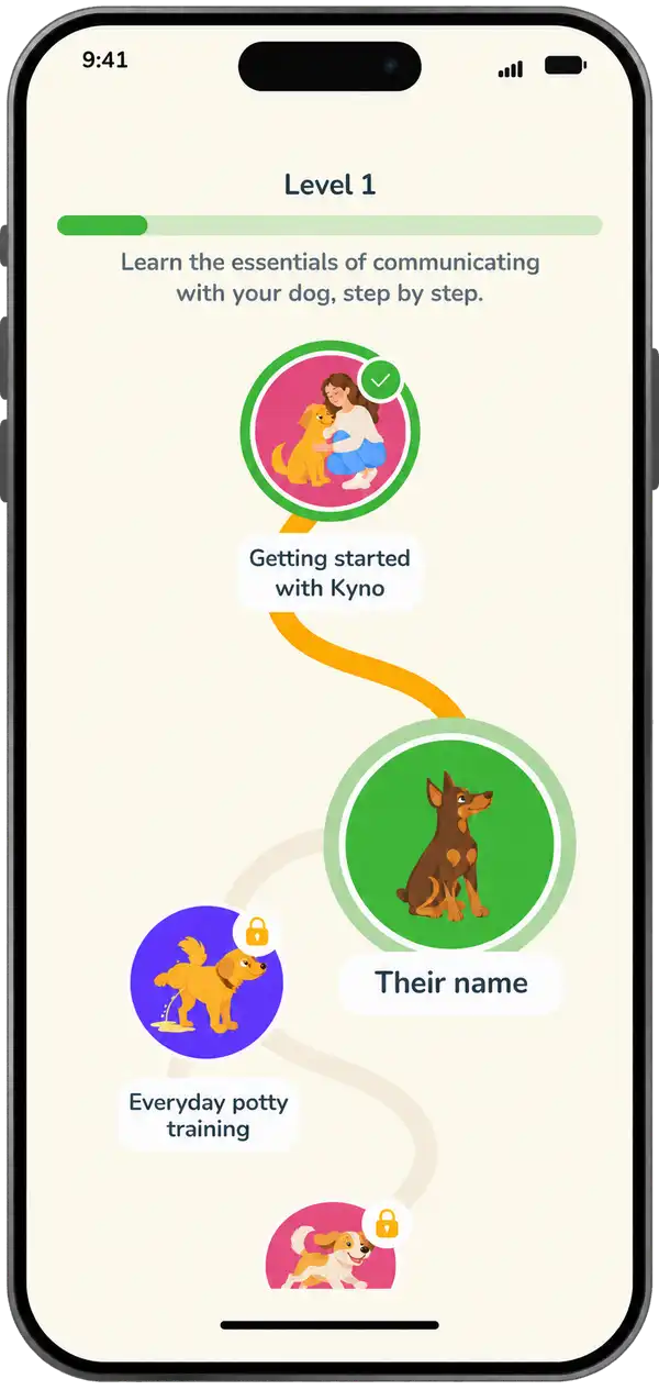 Kyno guided training path on an iPhone