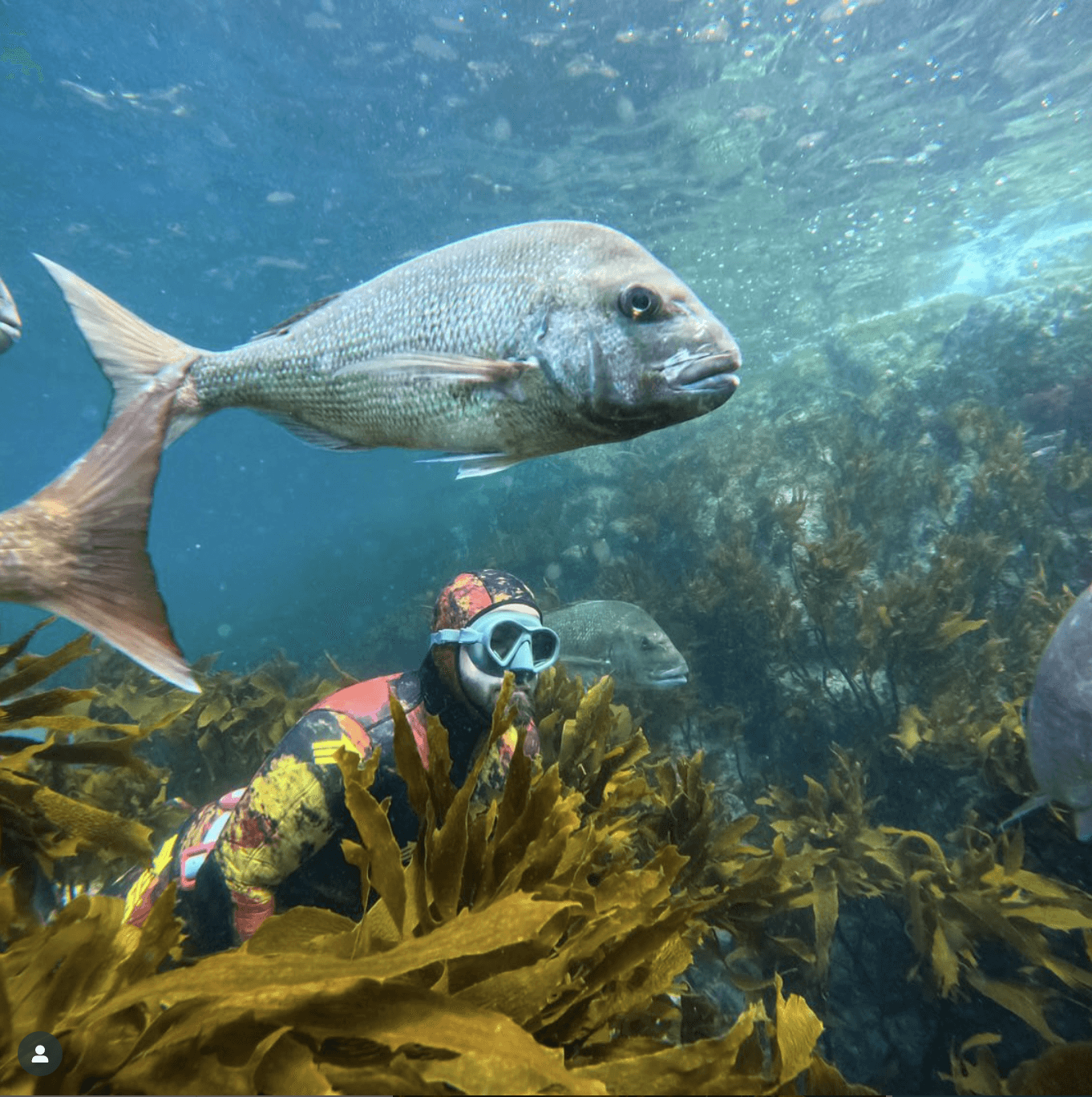 freediver meister taking a selfie with a fish underwater