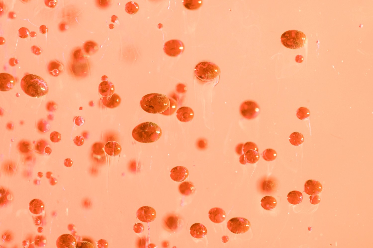 brain fog support hormonal changes support