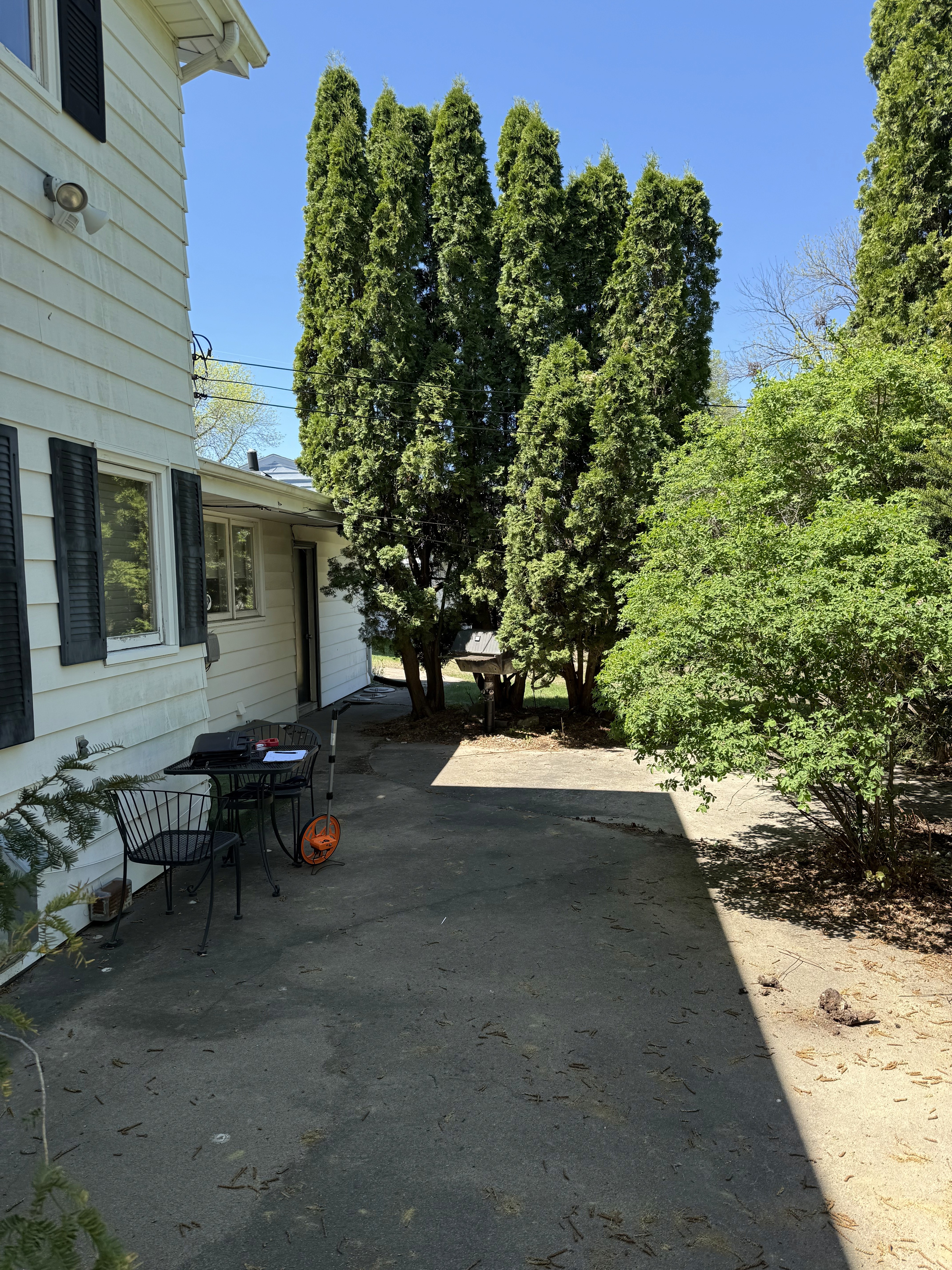 back yard before deck