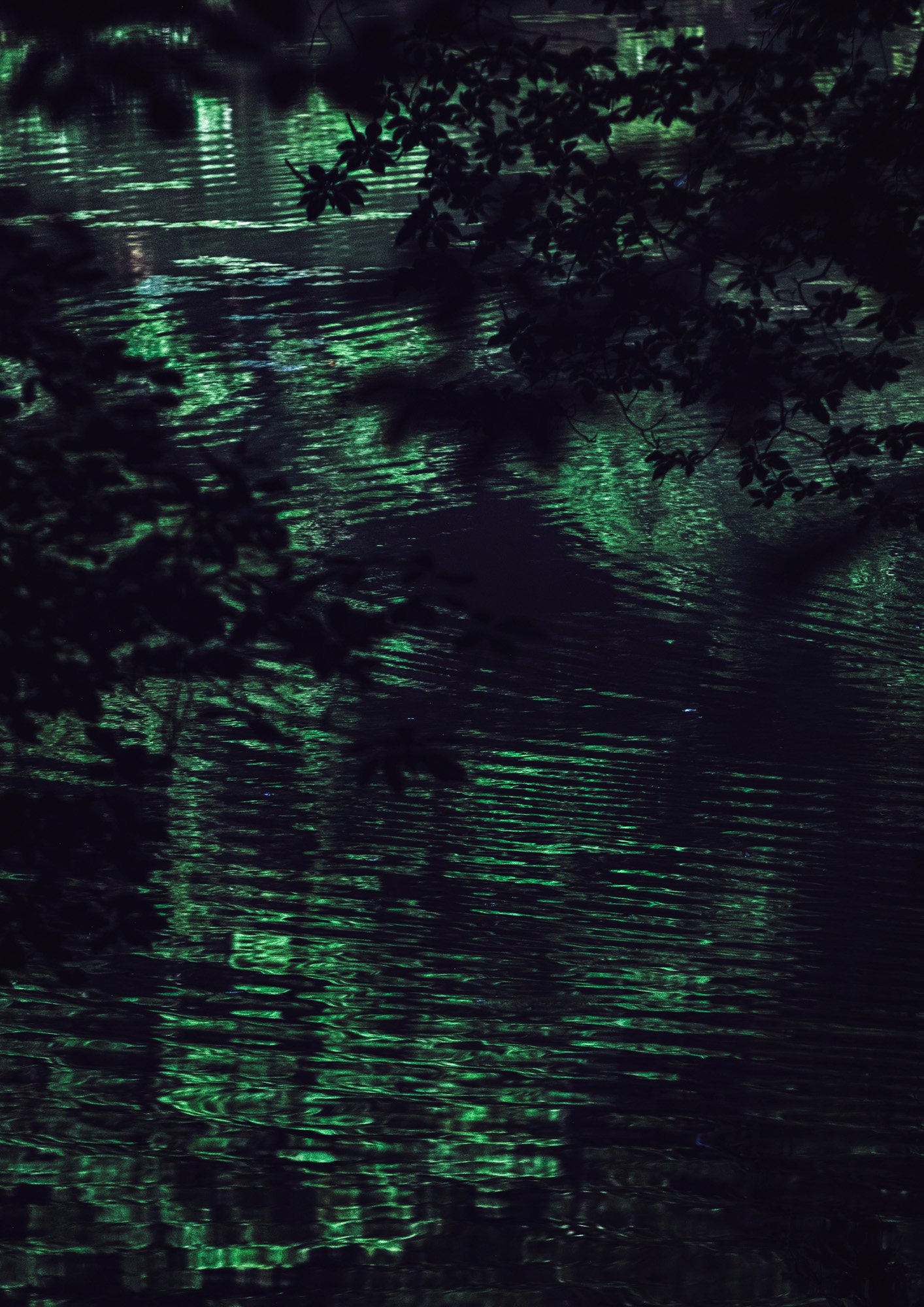 Taisei Matsumoto, 2022 exhibition work 004