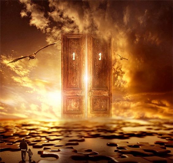 pink flowers on body of water