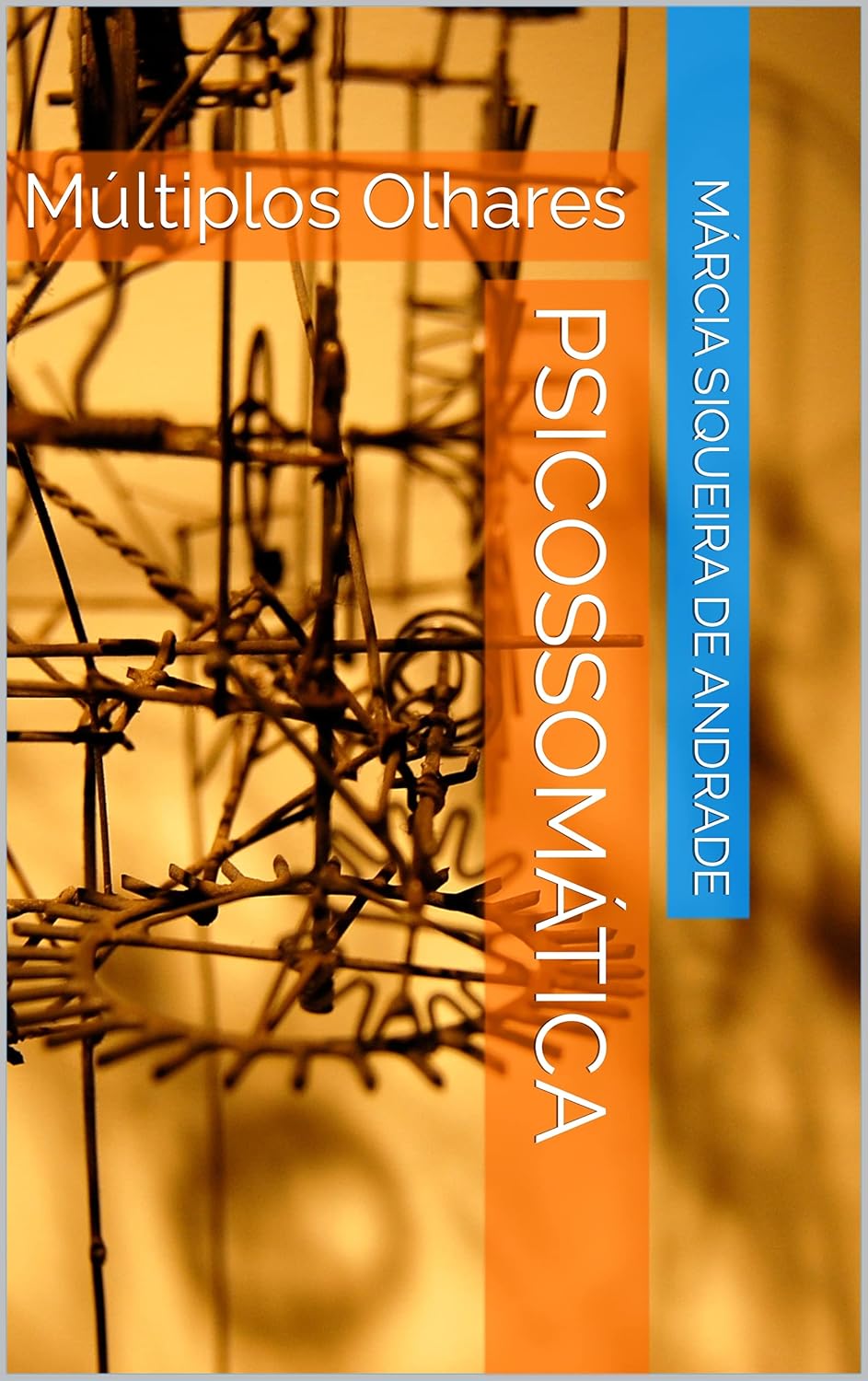 Capa do Livro Psicossomática: Múltiplos Olhares