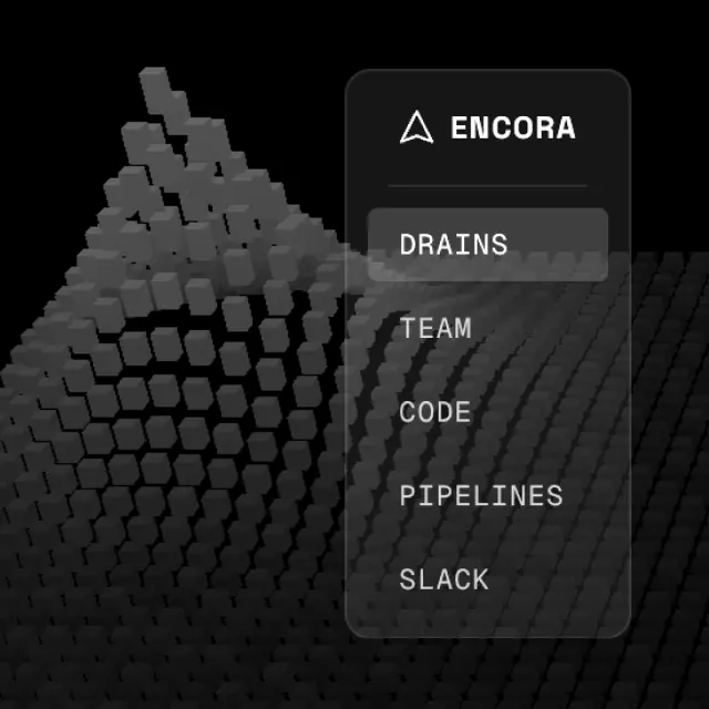 Encora Focus Areas