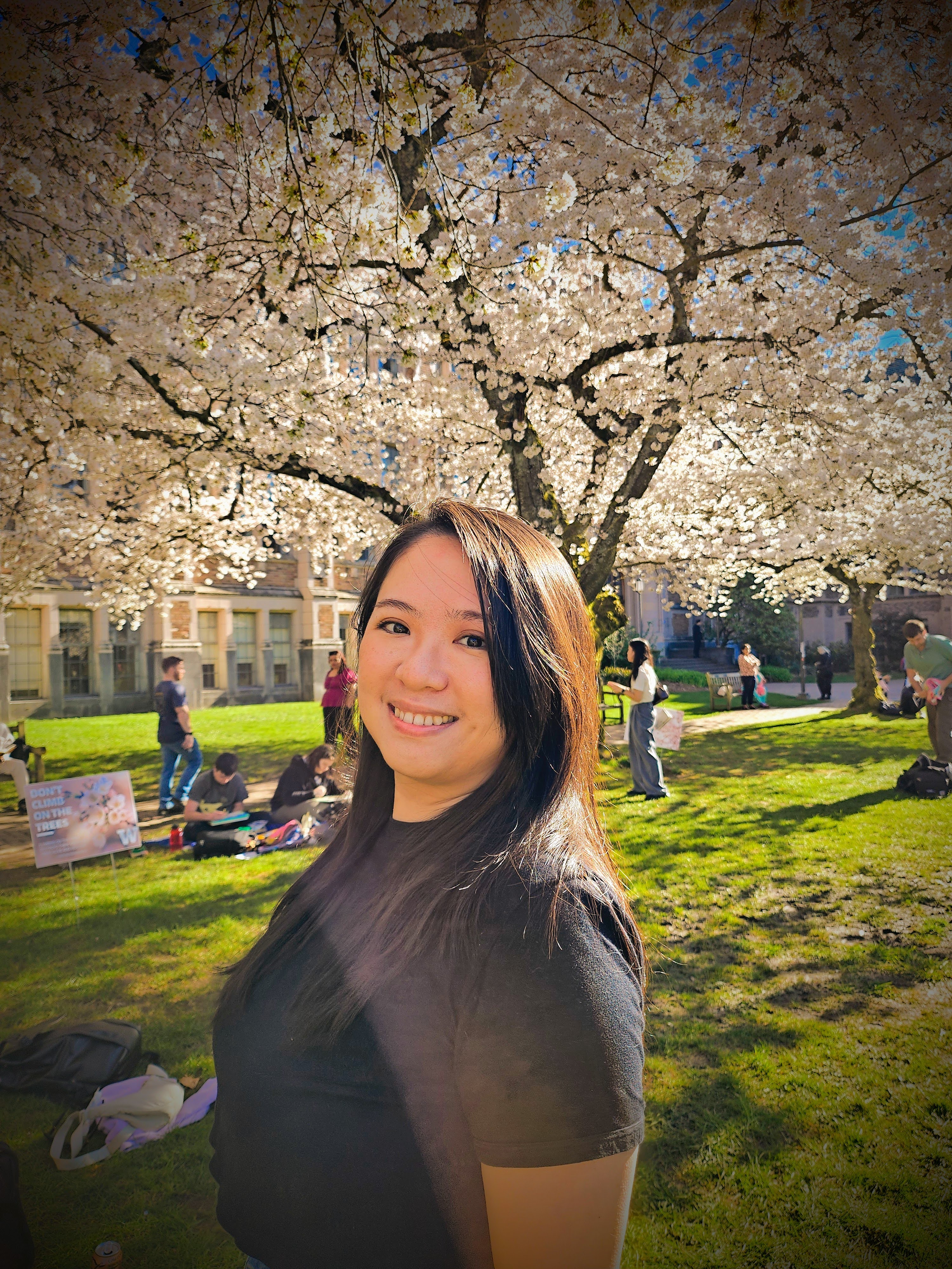 Dianne Ting UX Designer