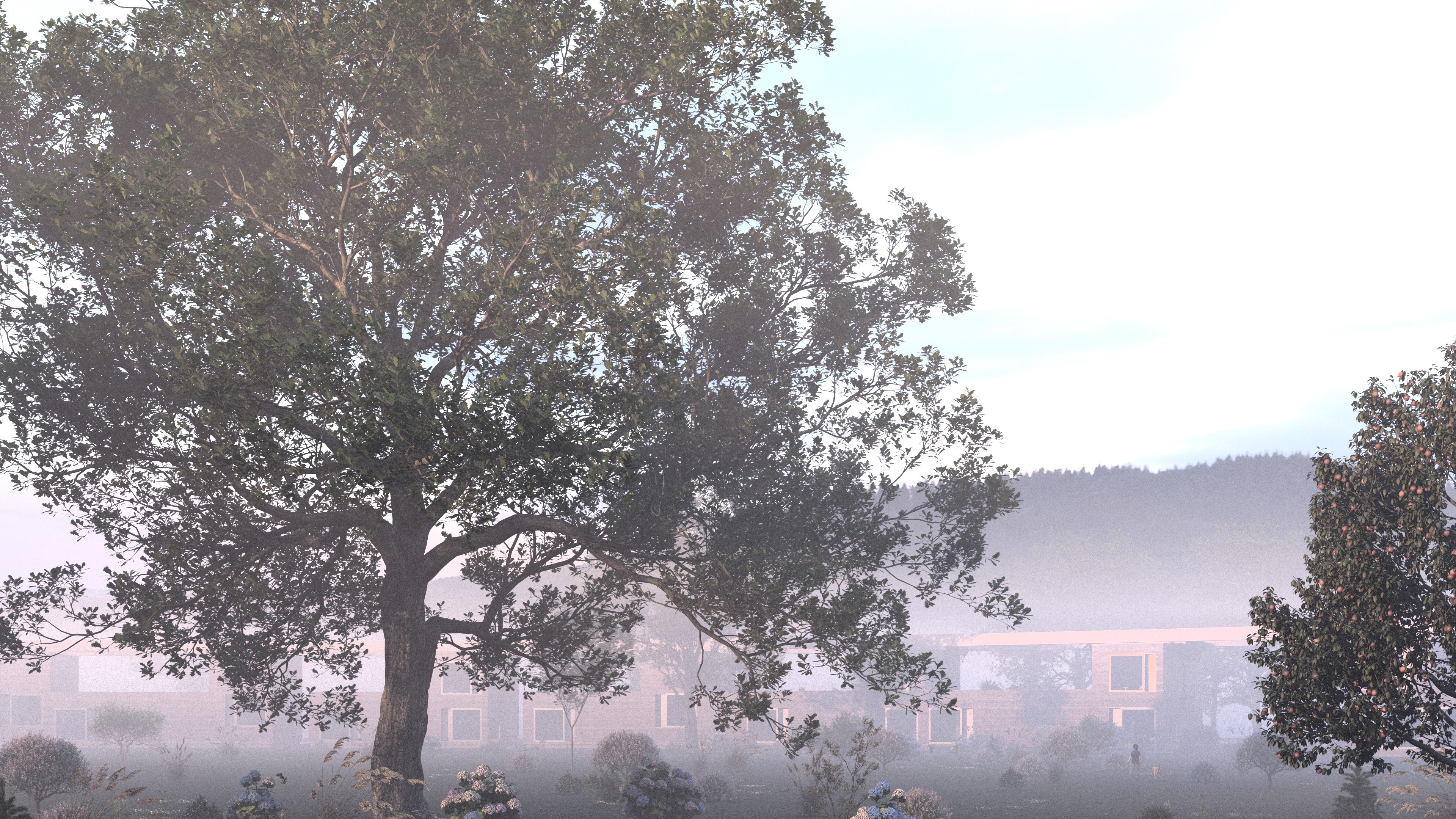 Housing project logements collectifs perspective vegetation