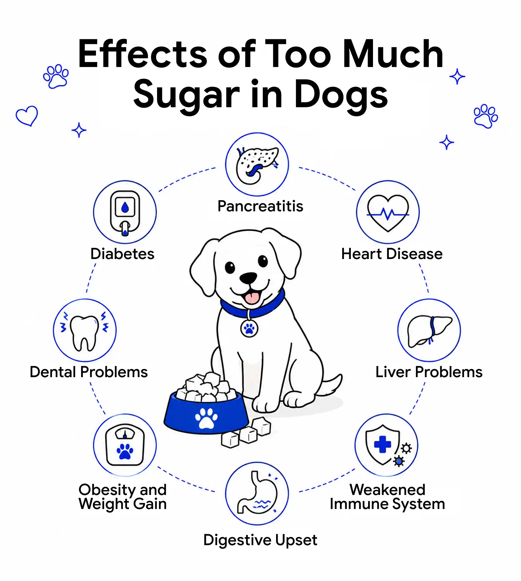 Effects of Too Much Sugar in Dogs
