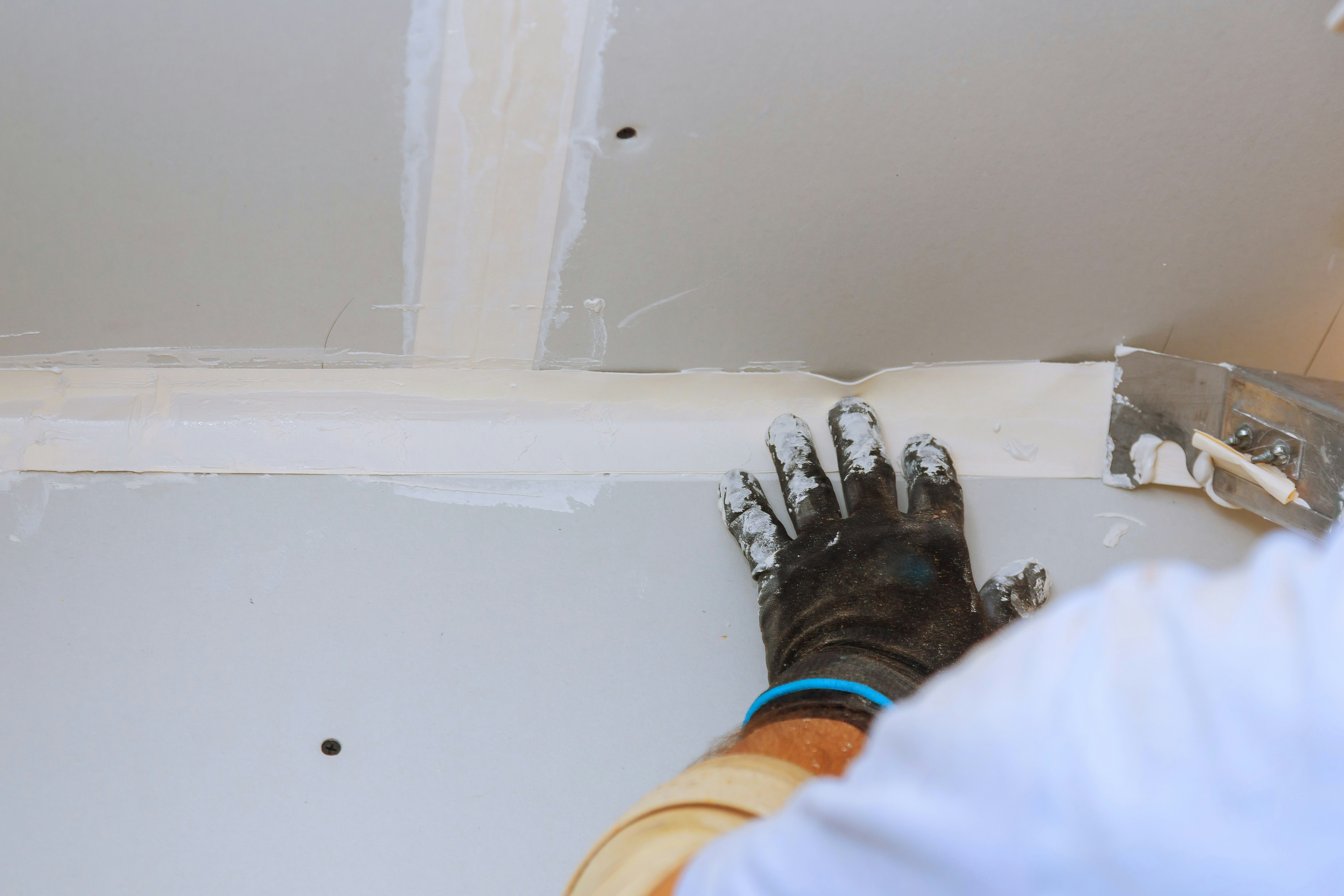 The Ultimate Guide to Mold Prevention in Renton—Don't Miss Out!