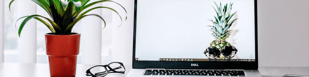 plugin ecommerce diseño web,