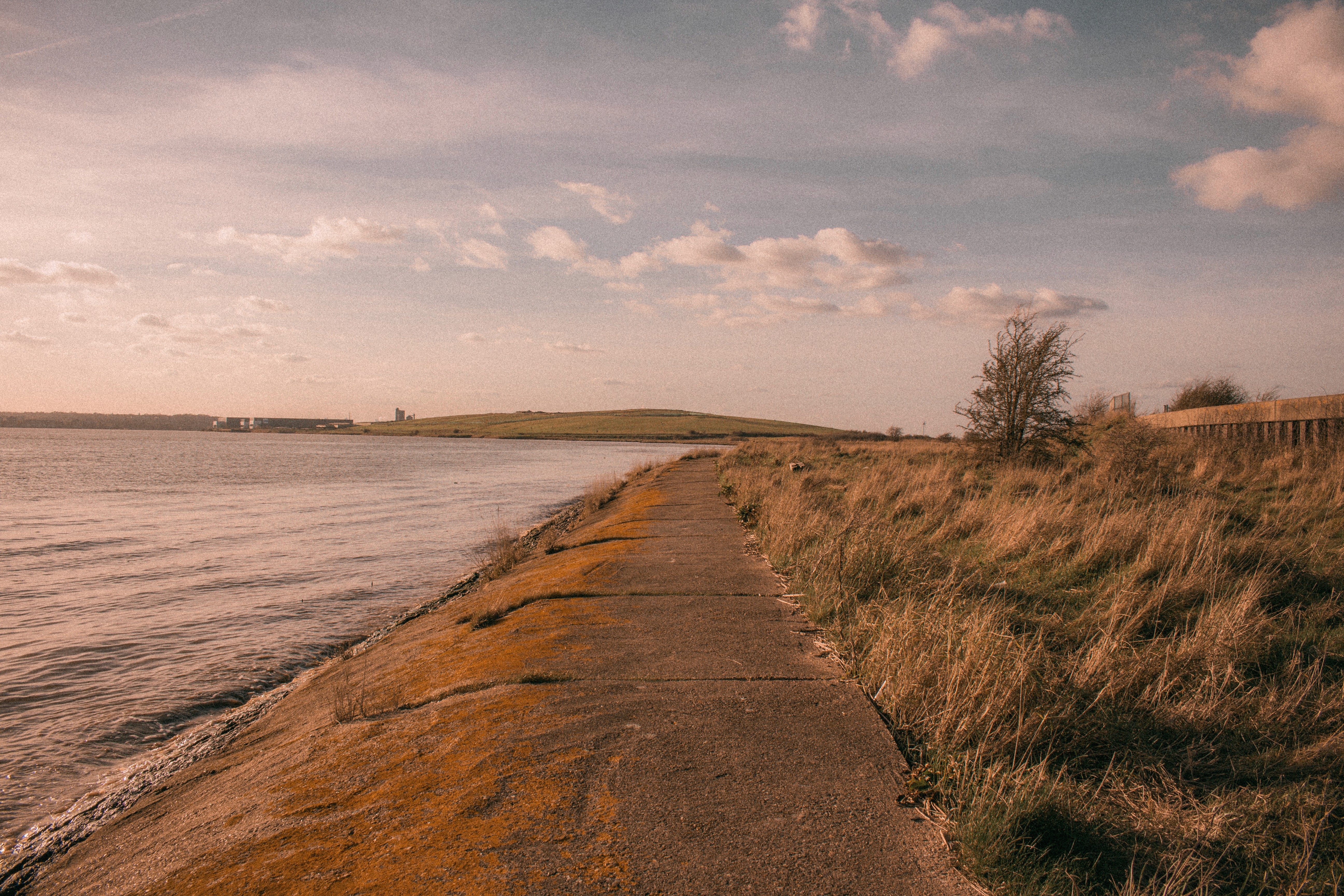 Man Wearing Black Coat