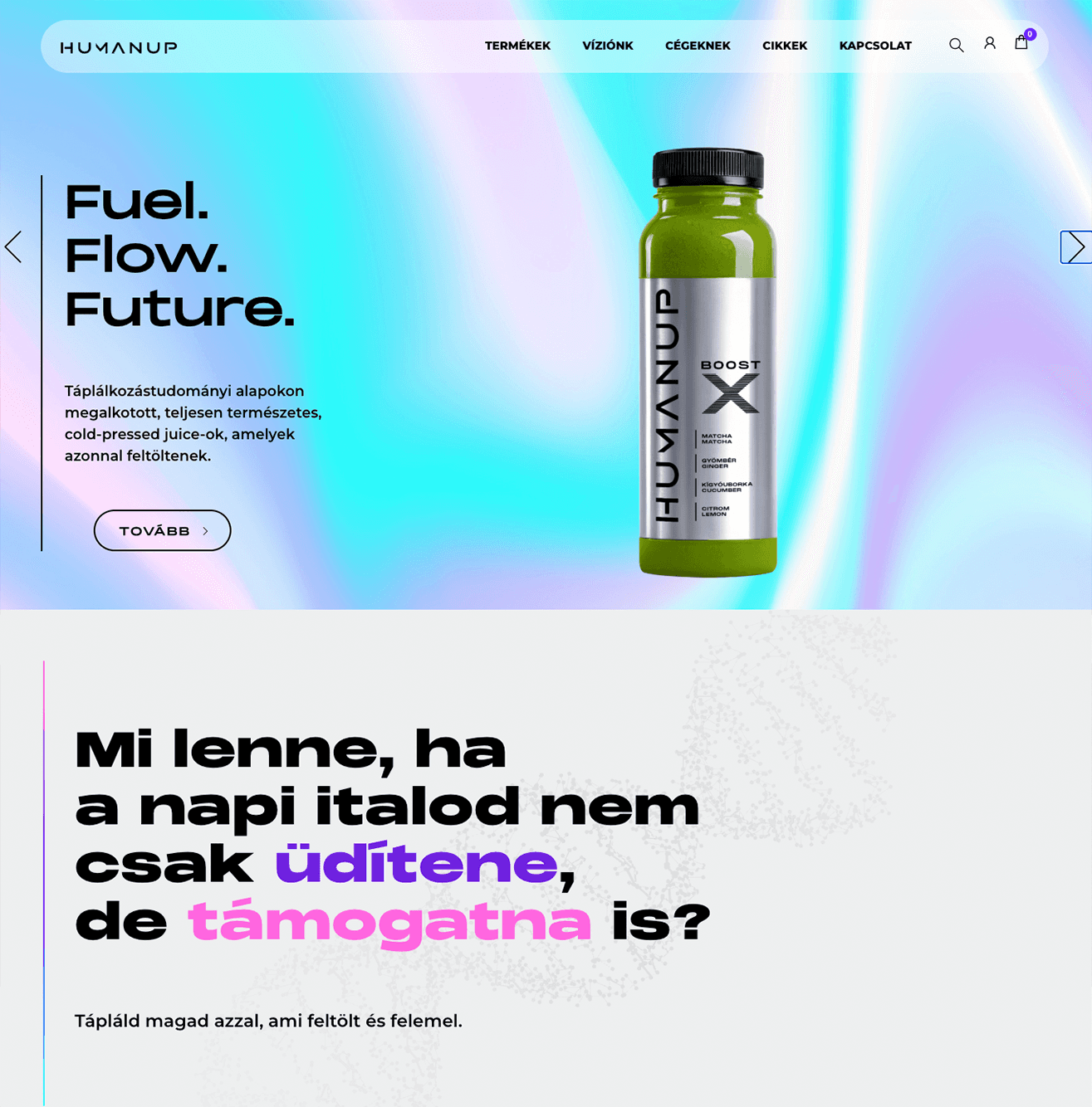 Website Design