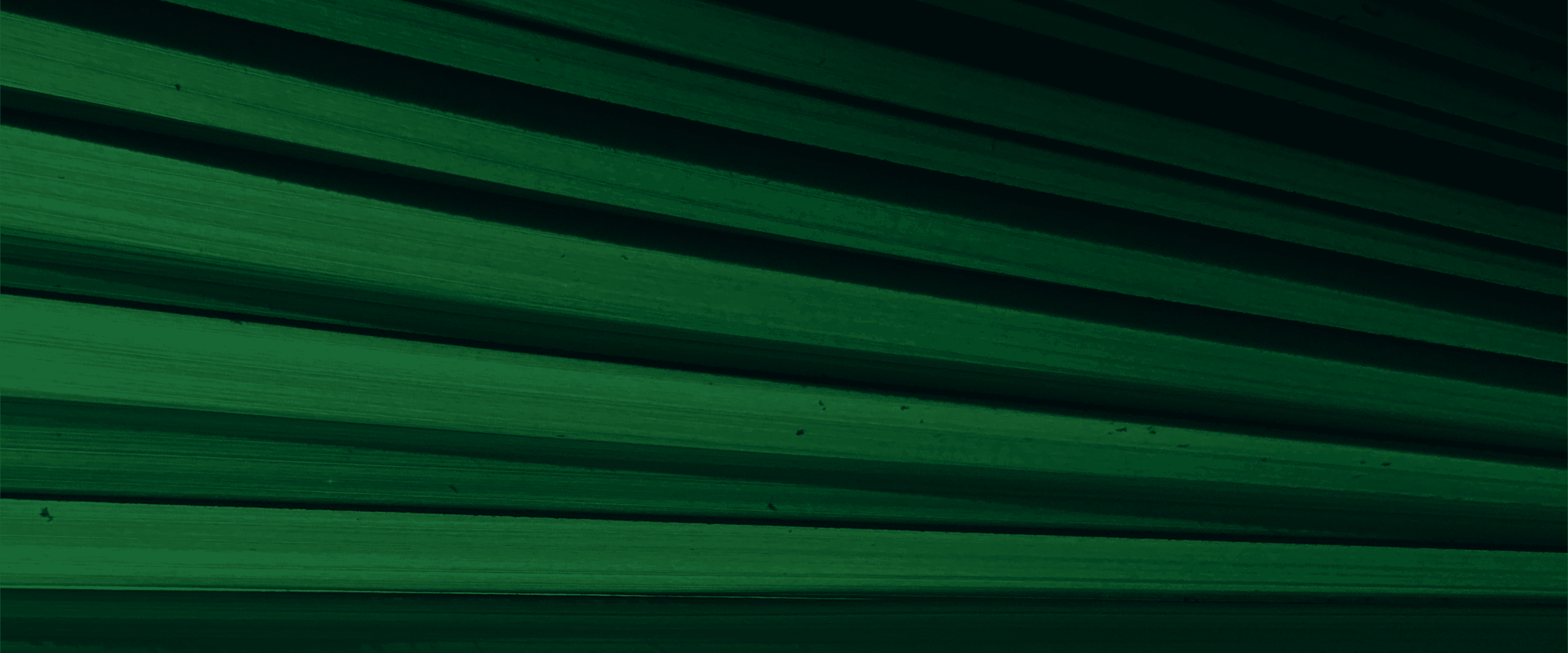 Your Ultimate Guide to Mastering Framer - All About Framer