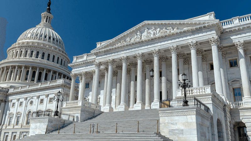 From Policy Shifts to Opportunities: How Innovators Stay Ahead