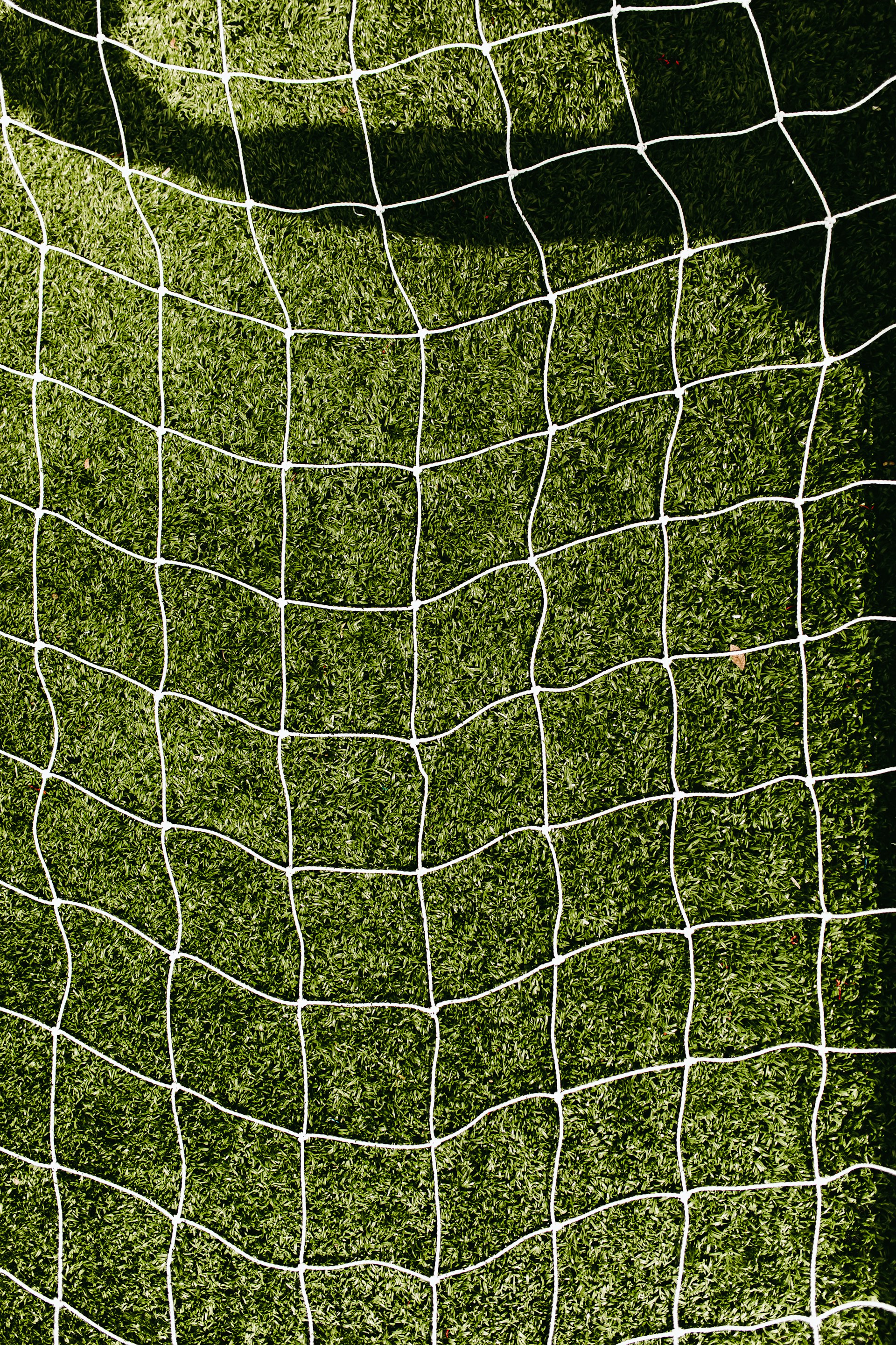 Stadium turf