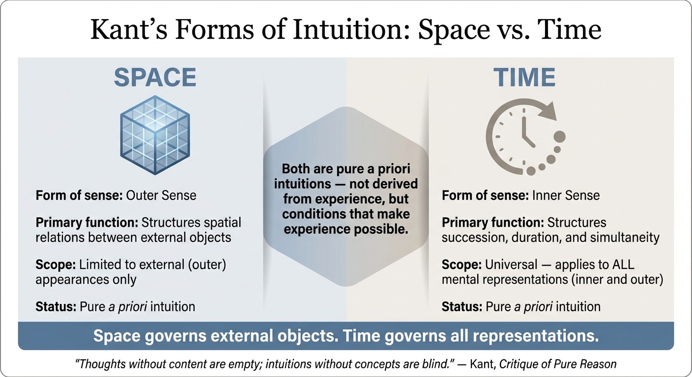 Kant's Forms of Intuition: Space vs. Time Explained