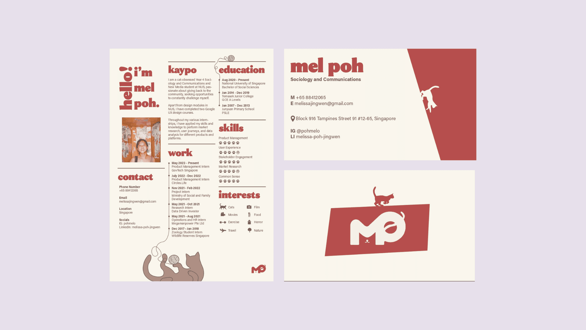 Premium UX Template for Framer