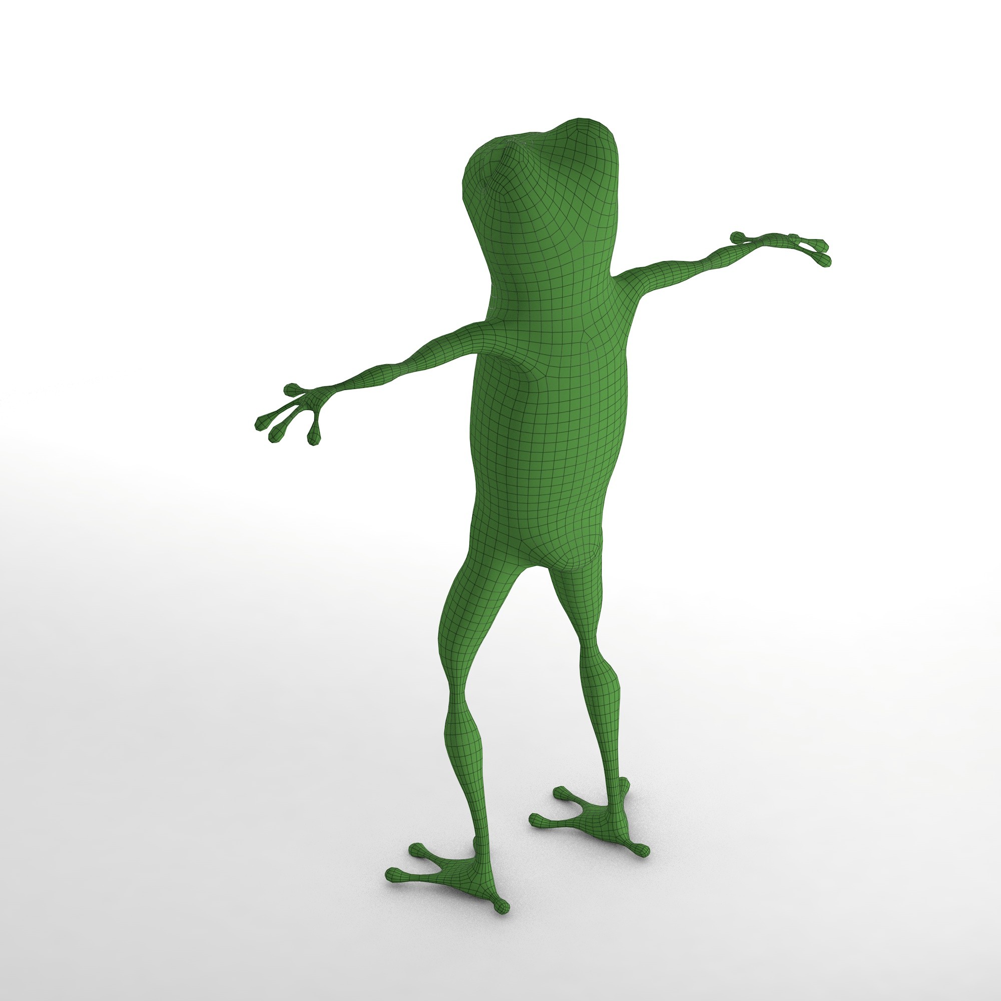 Frog character back topology