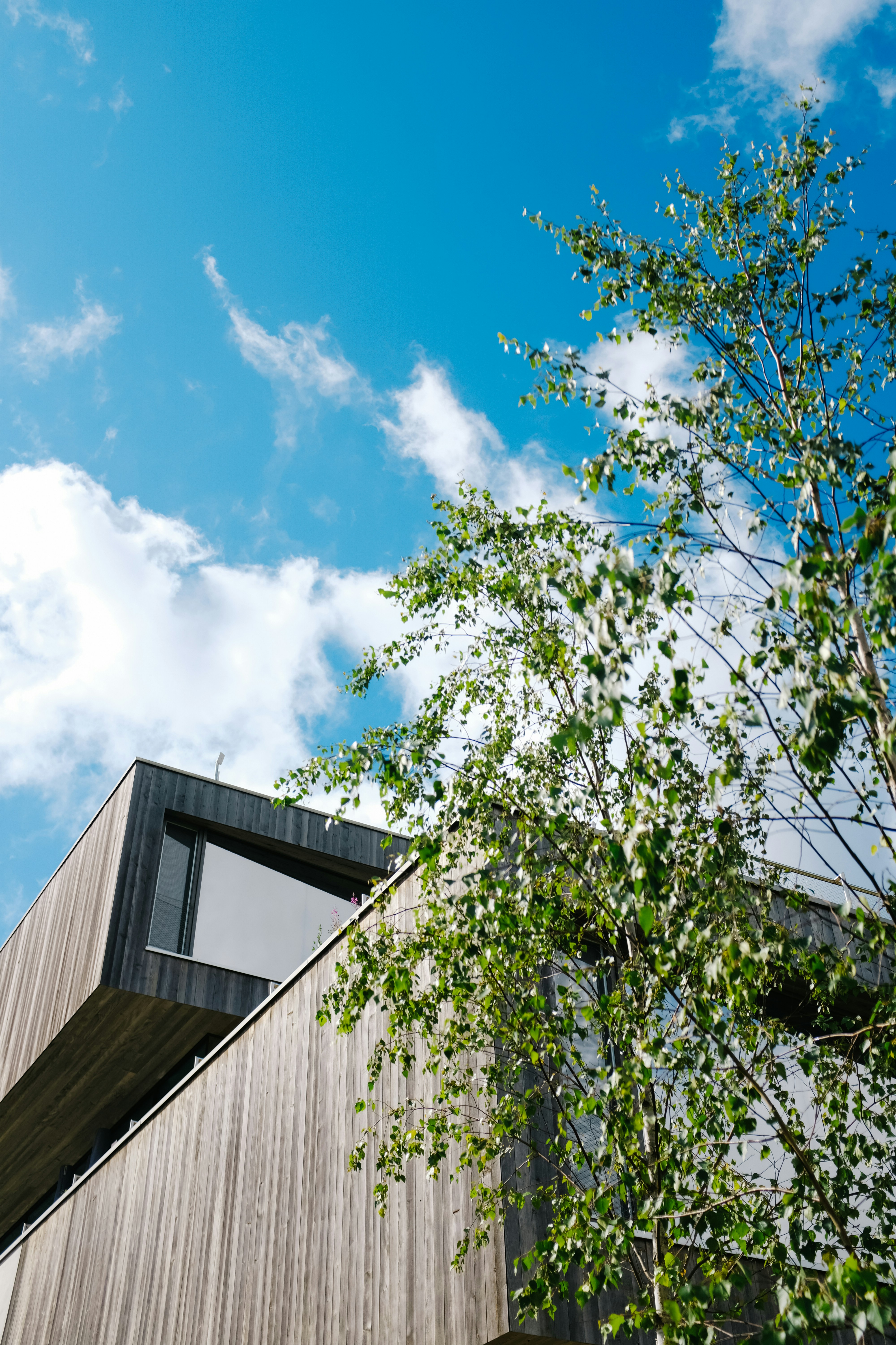 Architectural Design