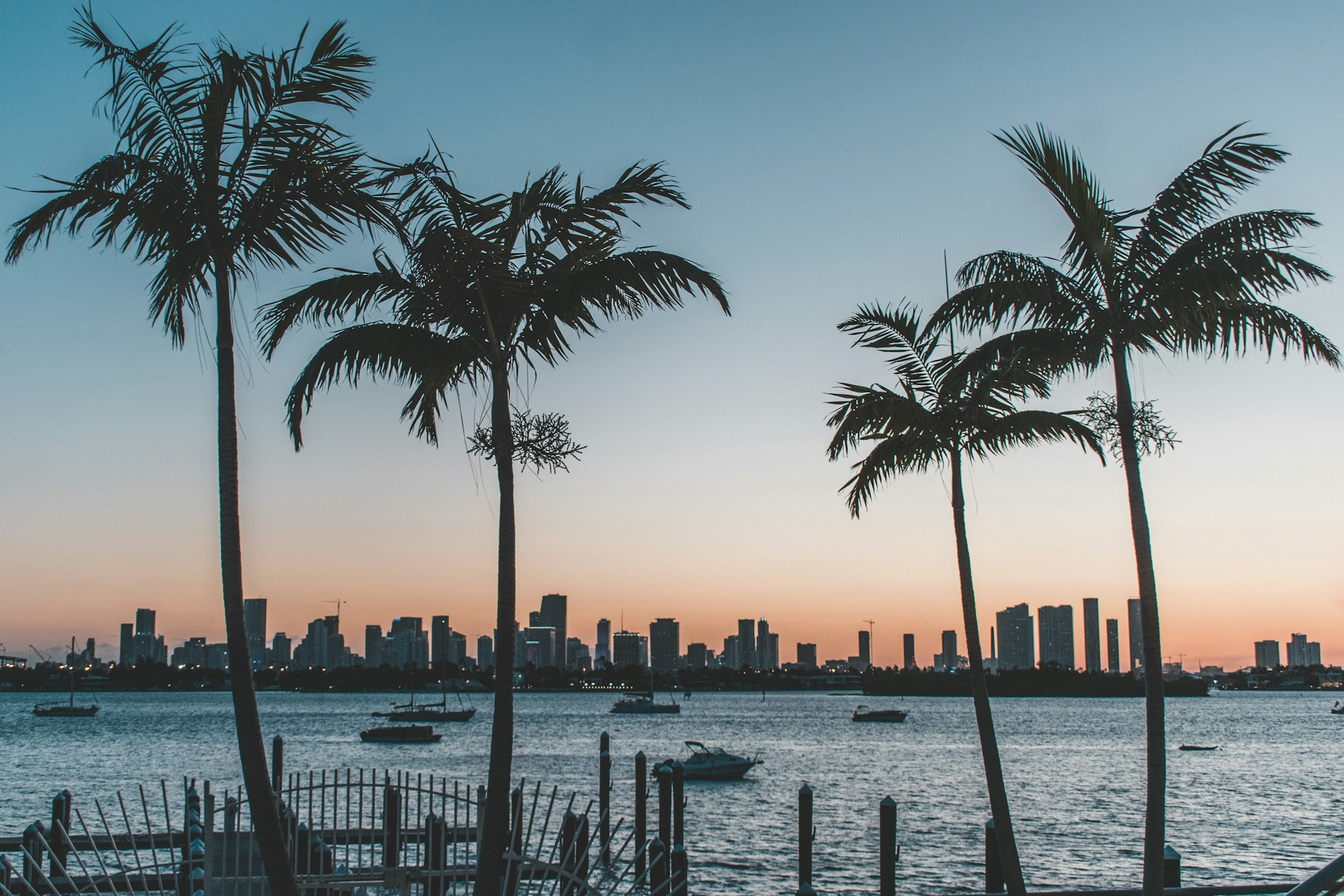 Hialeah, FL SEO Company hero image