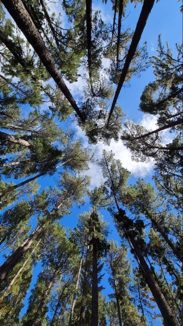 A circle of people sitting cross-legged, meditating with hands in a prayer position. Soft, warm lighting.