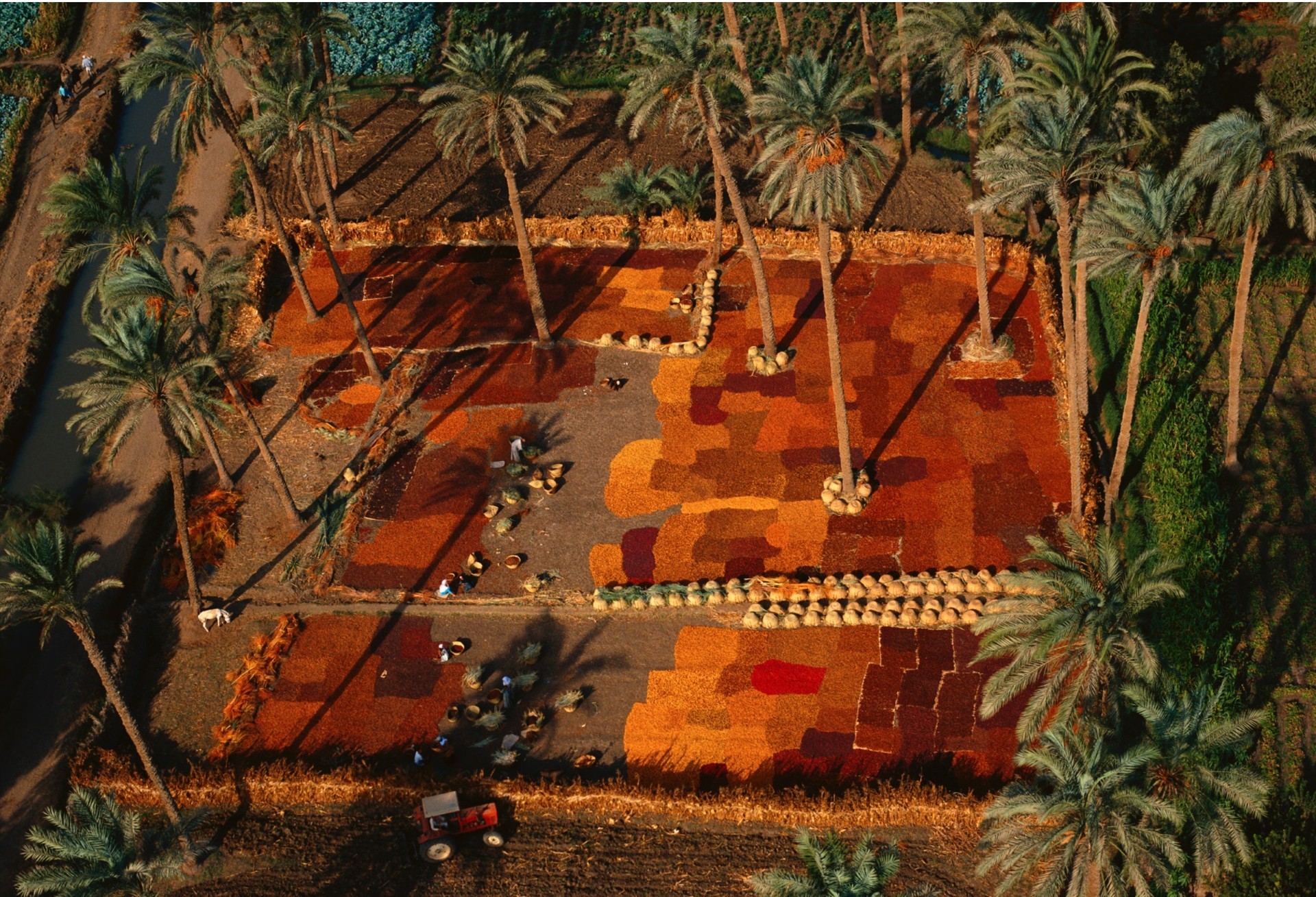 brown and white concrete house near green trees during daytime